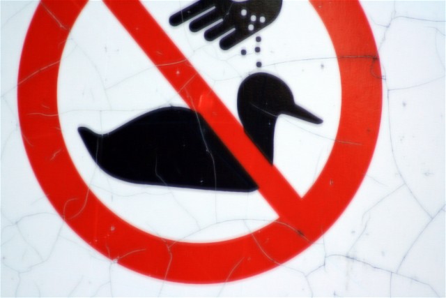 Do not feed the ducks - Savin Lake Services