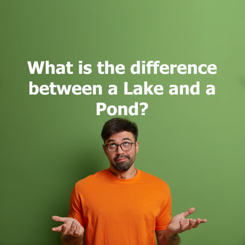 What is a Lake and Pond