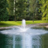 airmax-pondseries-fountain-1-2hp-crown-trumpet-1000__15753 Savin Lake Services