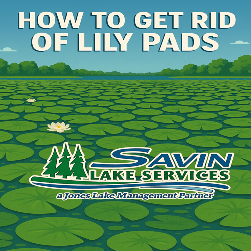 Savin Lake Services Lily pad blog